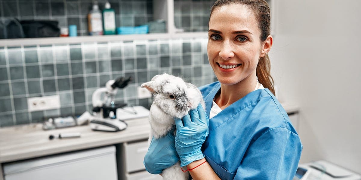 Vétérinaires en action 2