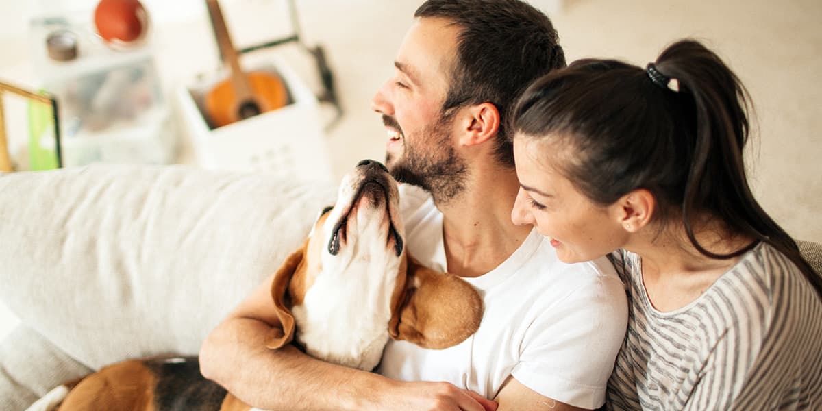 Gestion de Patrimoine